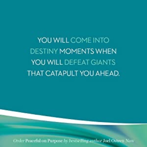 NEW NY TIMES BEST SELLING BOOK “PEACEFUL ON PURPOSE” HARD COVER By Joel Osteen - Picture 6 of 6
